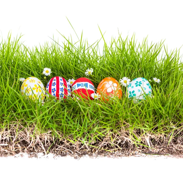 Великодні яйця з квіткою на свіжій зеленій траві на білому фоні — стокове фото