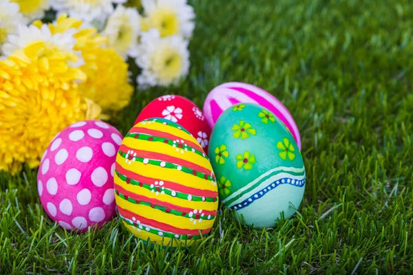 Húsvéti tojás, virág, friss zöld fű — Stock Fotó