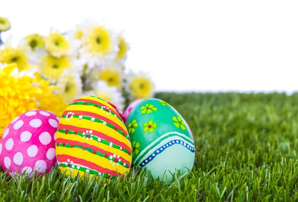 Huevos de Pascua con flor sobre hierba verde fresca sobre fondo blanco — Foto de Stock