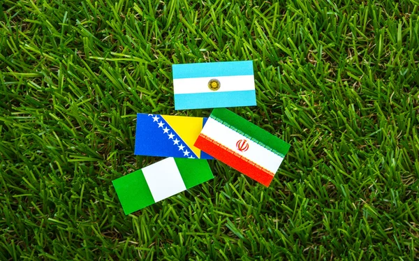 剪纸的旗帜在草地上足球冠军到 2014 年组 — 图库照片