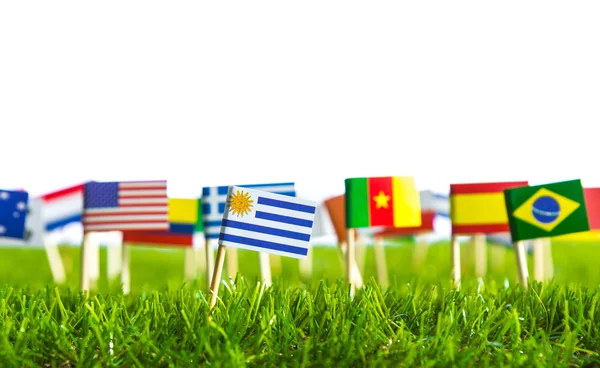 Taglio di carta delle bandiere sull'erba per il campionato di calcio 2014 — Foto Stock