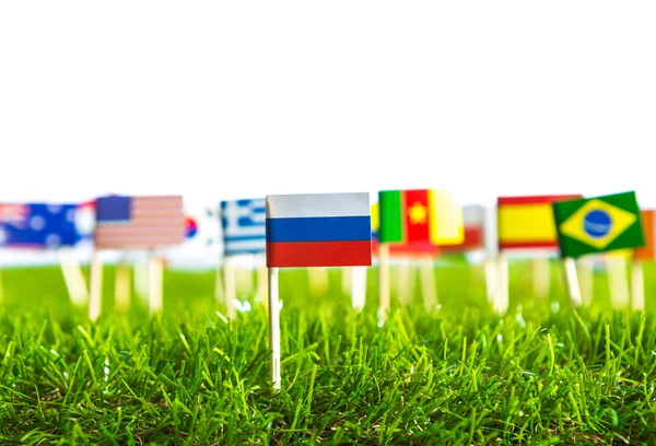 Χαρτί κομμένα από σημαίες στο χόρτο για το πρωτάθλημα ποδοσφαίρου 2014 — Φωτογραφία Αρχείου