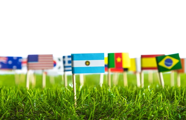 Taglio di carta delle bandiere sull'erba per il campionato di calcio 2014 — Foto Stock