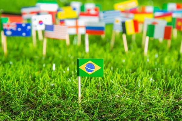 Паперовий виріз прапорів на траві для чемпіонату з футболу 2014 — стокове фото