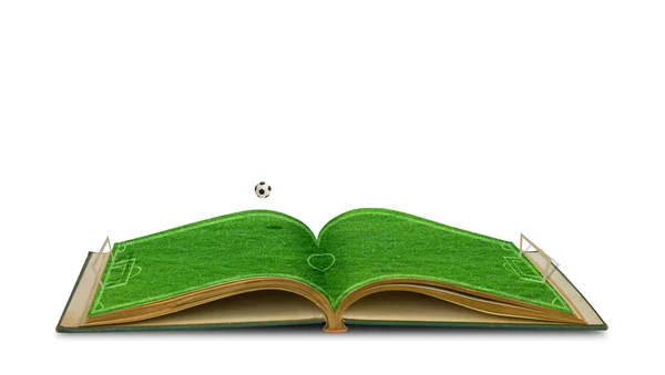 サッカーでサッカー競技場の緑の草帳を開きます — ストック写真