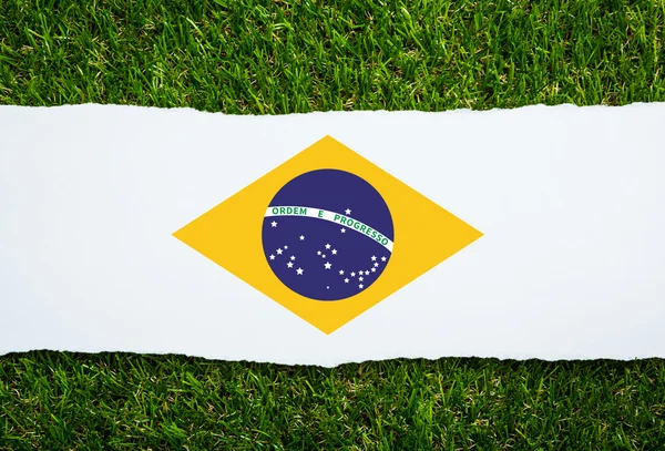 Βραζιλία χόρτο του πρωταθλήματος ποδοσφαίρου 2014 — Φωτογραφία Αρχείου