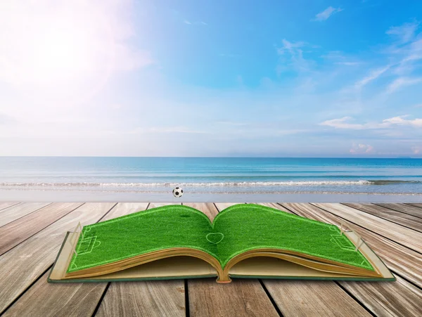 Libro de hierba verde abierto De estadio de fútbol con fútbol sobre el mar b —  Fotos de Stock