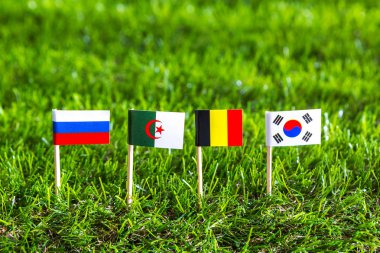 kağıt kesiği bayrakları çim futbol şampiyonasında 2014 tarihinde, grubu