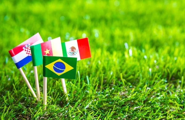 Papierschnitt der Fahnen auf dem Rasen für die Fußballweltmeisterschaft 2014 — Stockfoto