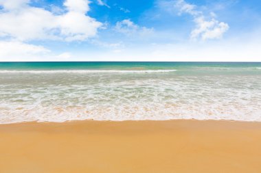 plaj ve tropikal deniz