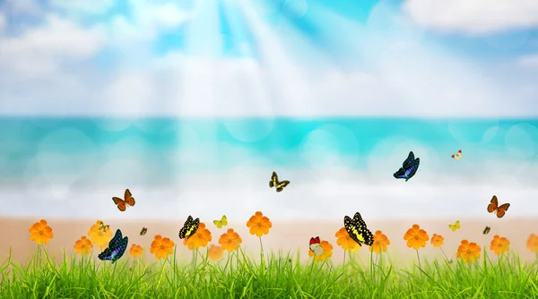 Fresca primavera grama verde com borboleta e flor perto da praia, S — Fotografia de Stock