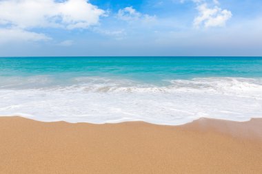 plaj ve tropikal deniz