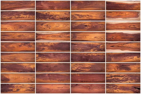 Collection de bois texture fond Set 02 — Photo