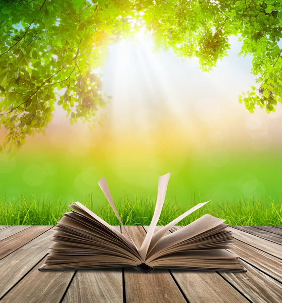 Open book on wood floor with green grass and leaf
