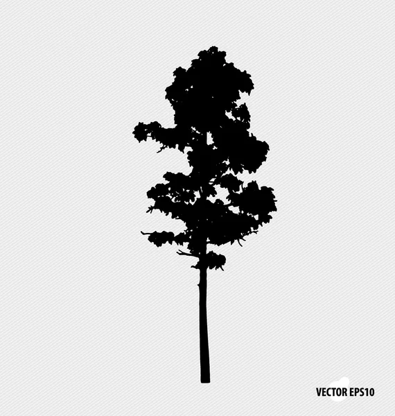 Силуэты деревьев. Векторная иллюстрация. — стоковый вектор