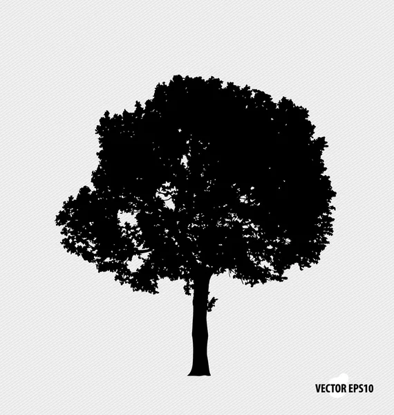 Tree silhouettes. Vector illustration. — Stock Vector