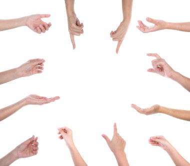 kadın koleksiyonu beyaz arka plan üzerinde eller