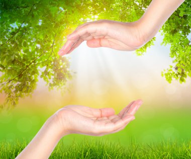 yaprak yeşil arka plan boş ver