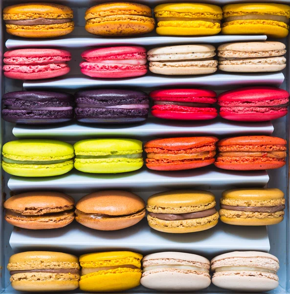 French colorful macarons in a rows — Stock Photo, Image