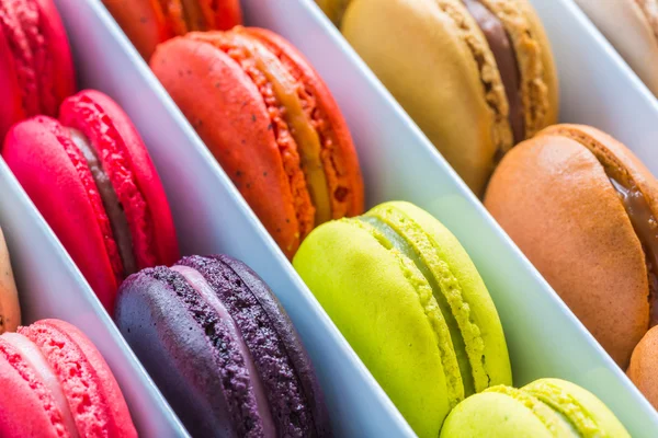 French colorful macarons in a rows — Stock Photo, Image