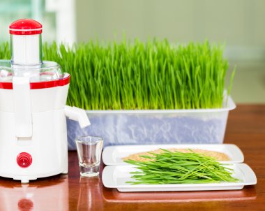 Shot glass of wheat grass with fresh cut wheat grass and wheat g clipart
