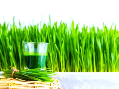 Shot glass of wheat grass with fresh cut wheat grass and wheat g clipart