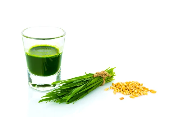 Shot glass of wheat grass with fresh cut wheat grass and wheat g — Stock Photo, Image