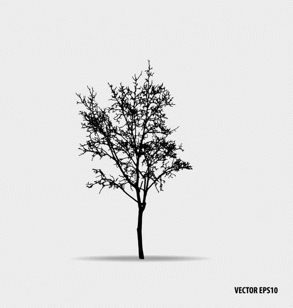 Tree silhouettes. Vector illustration. — Stock Vector