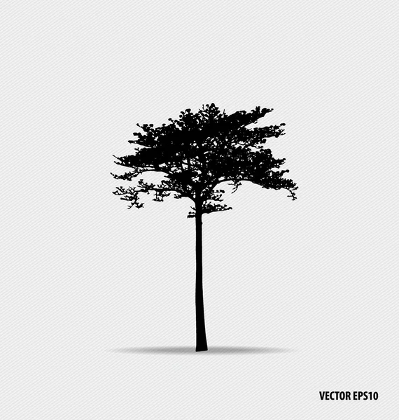 Silhouettes d'arbres. Illustration vectorielle. — Image vectorielle
