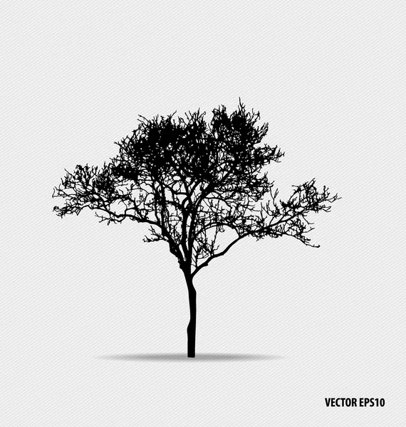 Tree silhouettes. Vector illustration. — Stock Vector