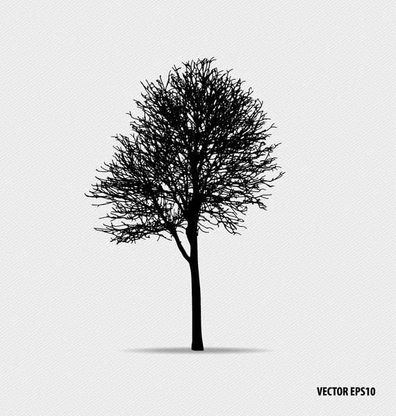 Tree silhouettes. Vector illustration. — Stock Vector