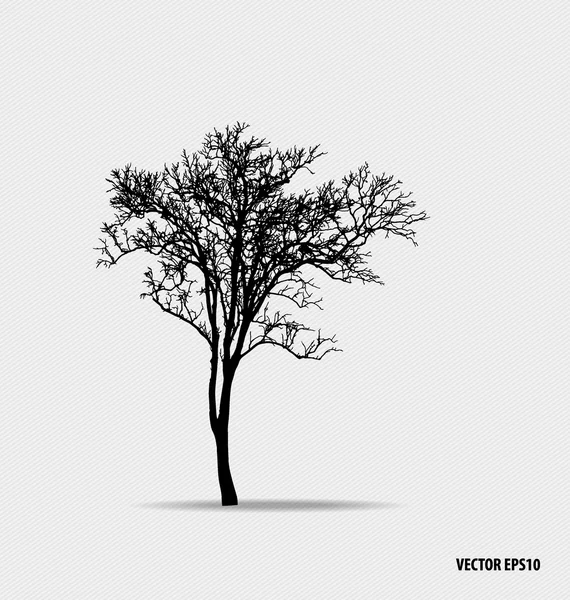 Tree silhouettes. Vector illustration. — Stock Vector