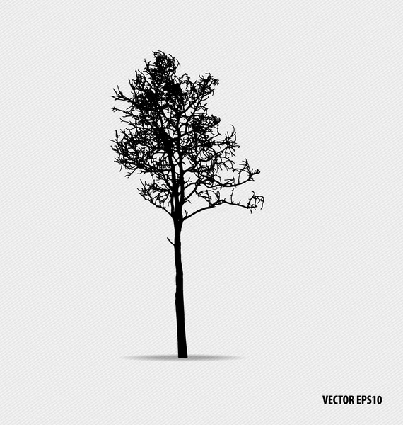 Siluetas de árboles. Ilustración vectorial. — Archivo Imágenes Vectoriales