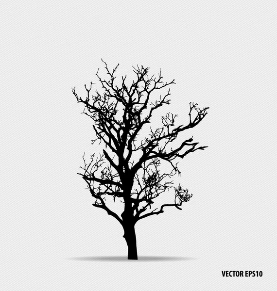 Silhouette d'albero. Illustrazione vettoriale . — Vettoriale Stock