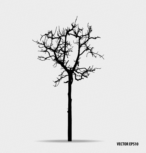 Silueta de árbol. Ilustración vectorial . — Vector de stock