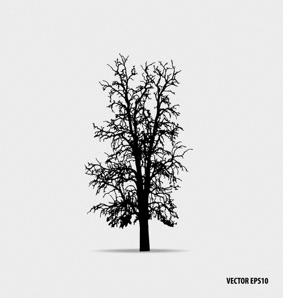 Tree silhouette. Vector illustration. — Stock Vector