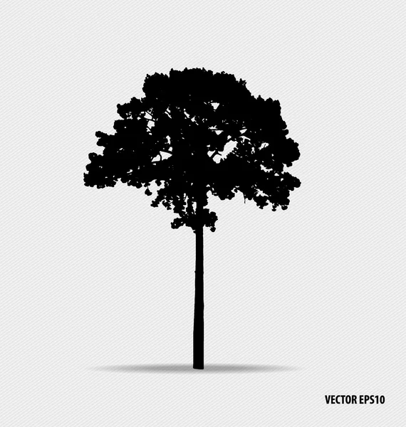 Silhouettes d'arbres. Illustration vectorielle. — Image vectorielle