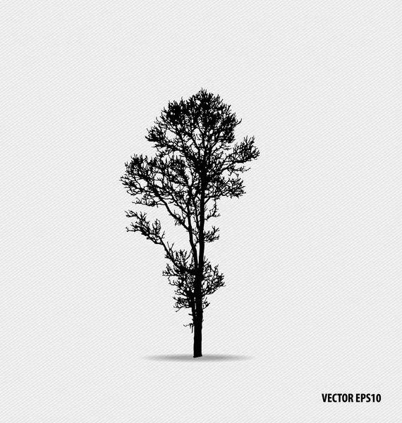 Tree silhouettes. Vector illustration. — Stock Vector