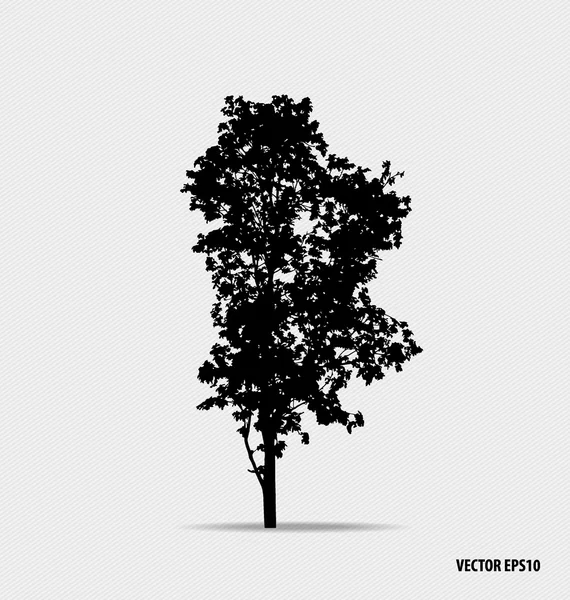Siluetas de árboles. Ilustración vectorial. — Vector de stock