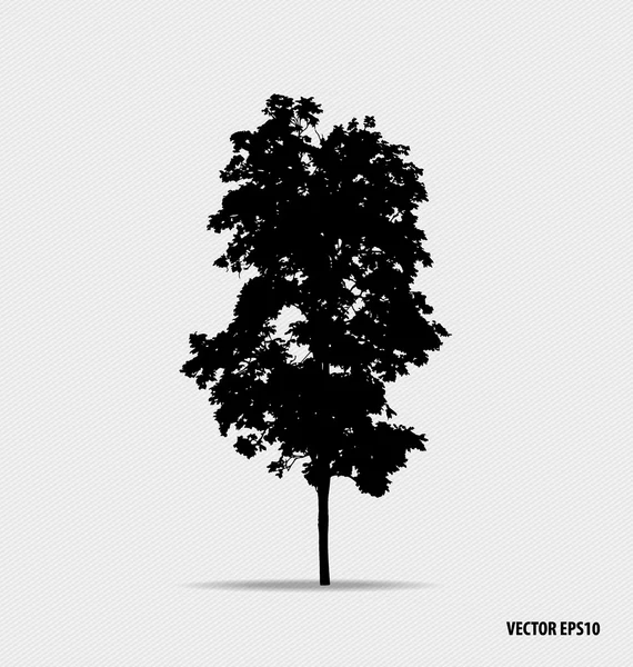 Tree silhouettes. Vector illustration. — Stock Vector