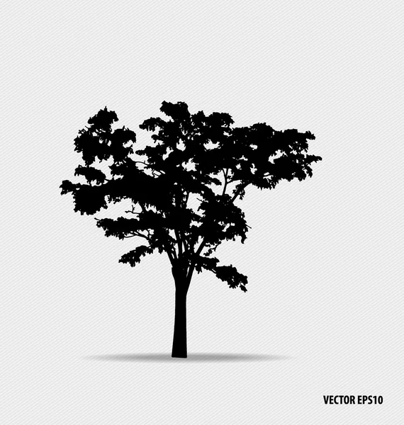 Träd silhouette. vektor illustration. — Stock vektor