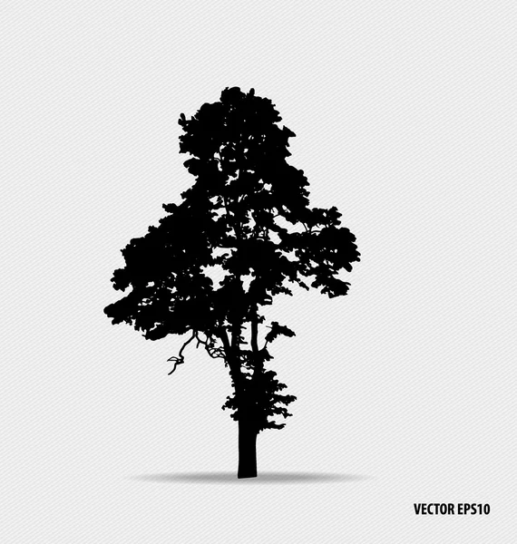 Tree silhouette. Vector illustration. — Stock Vector