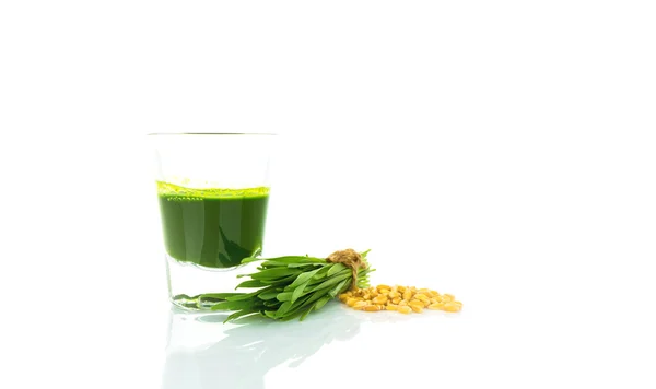 Shot glass of wheat grass with fresh cut wheat grass and wheat g — Stock Photo, Image