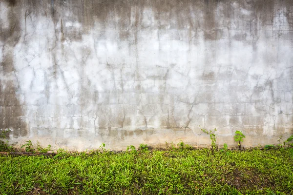 Věku prázdnou zeď s trávou — Stock fotografie