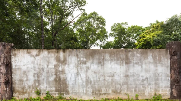 Aged empty wall with green grass — Stock Photo, Image