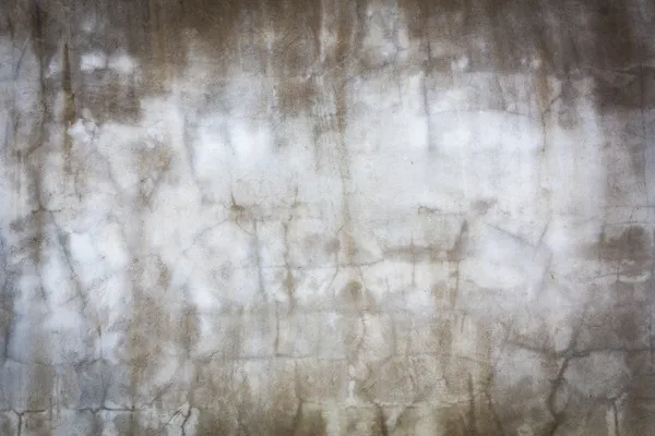 Grunge 水泥墙纹理 — 图库照片