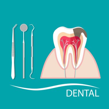 Diş aletleri ve diş. Diş muayenesi konsepti.