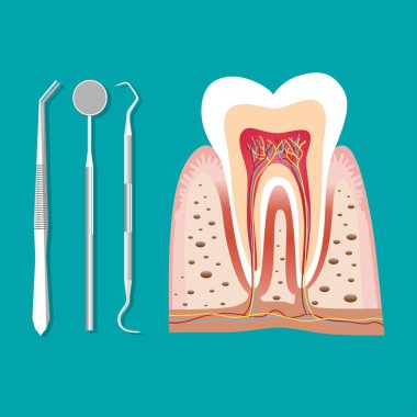 Diş aletleri ve diş. Diş muayenesi konsepti.