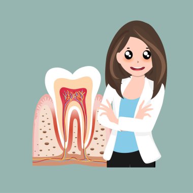 Diş hekimi ve insan dişleri. Diş bakımı geçmişi. Vektör illüstrasyonu.