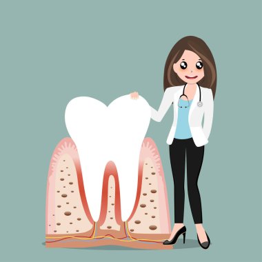 Diş hekimi ve insan dişleri. Diş bakımı geçmişi. Vektör illüstrasyonu.